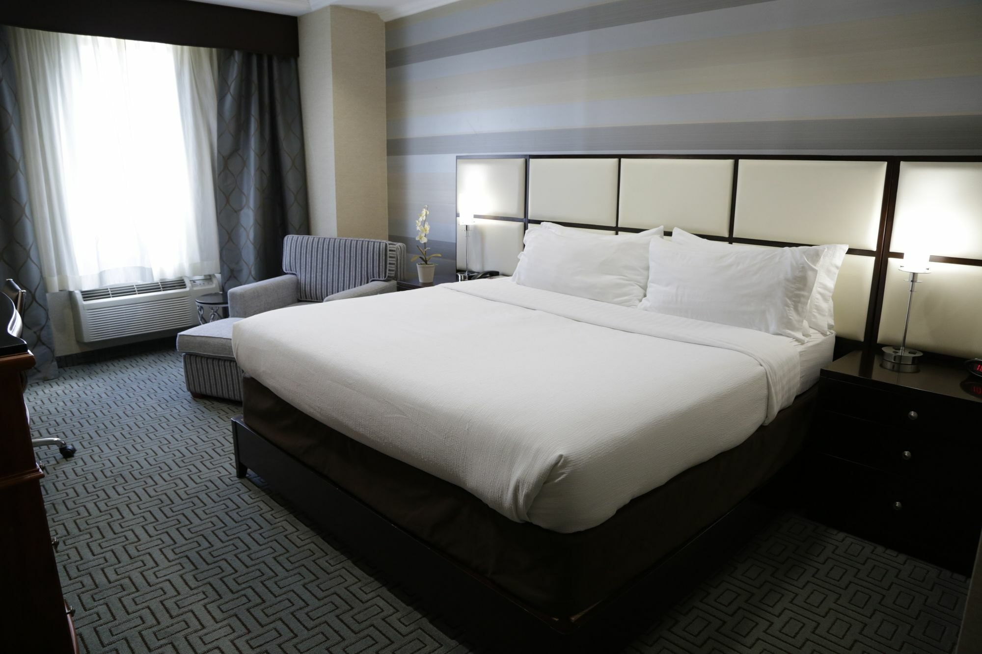 Holiday Inn Plainview-Long Island By Ihg Dış mekan fotoğraf